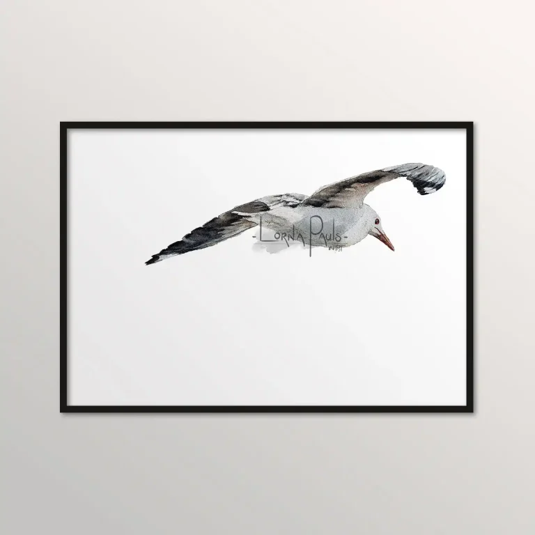 Watercolour painting by Lorna Pauls of a seagull