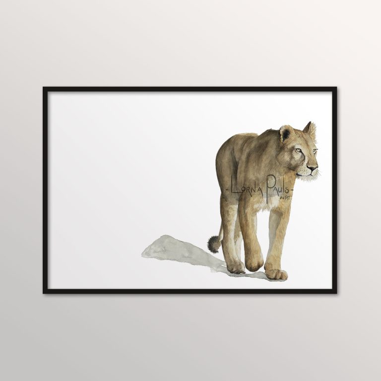 Lioness painting by Lorna Pauls
