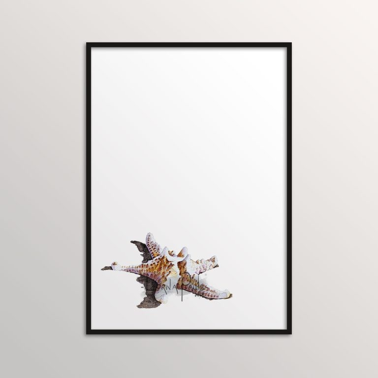 watercolor starfish