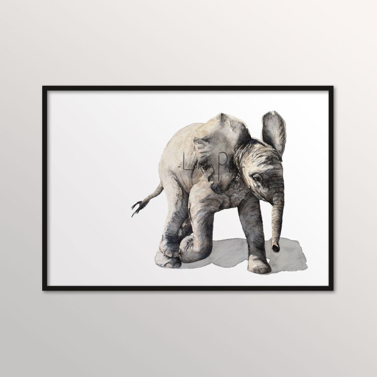 baby elephant painting