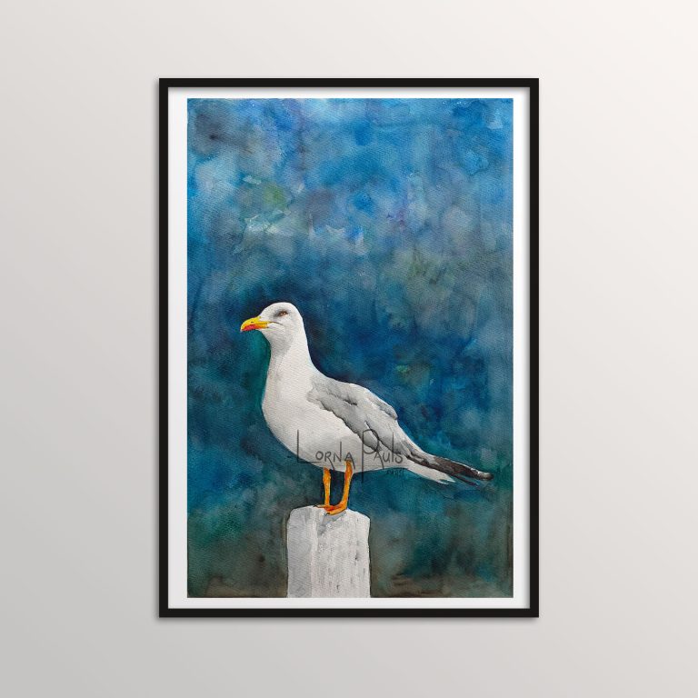 watercolor seagull art