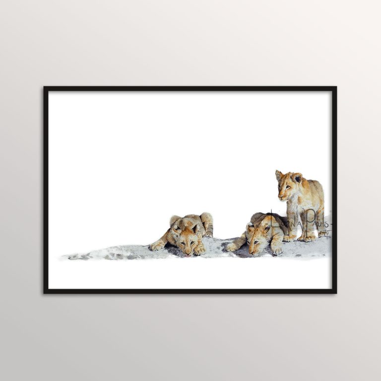 lion cub art print