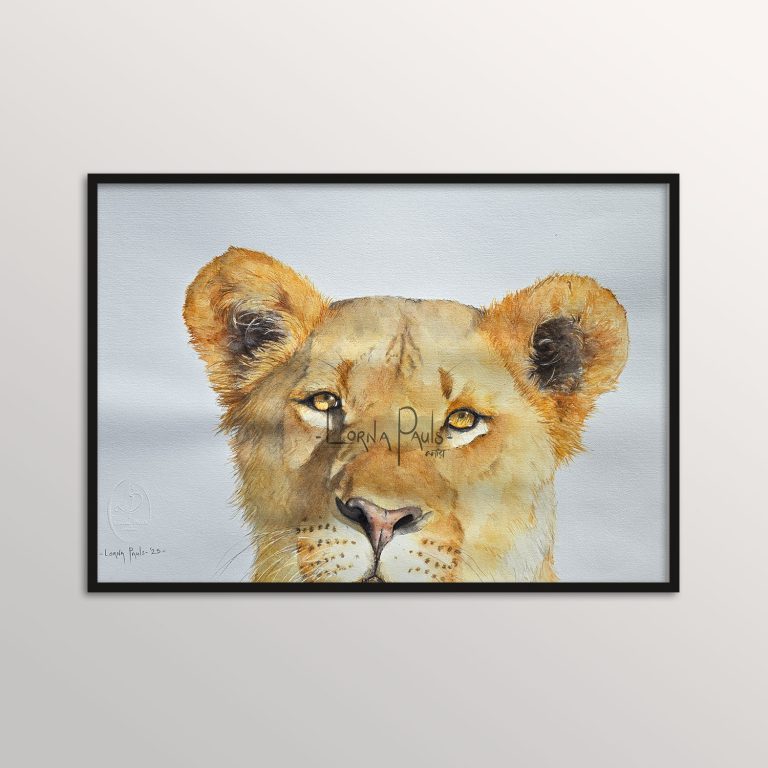 watercolor lioness art