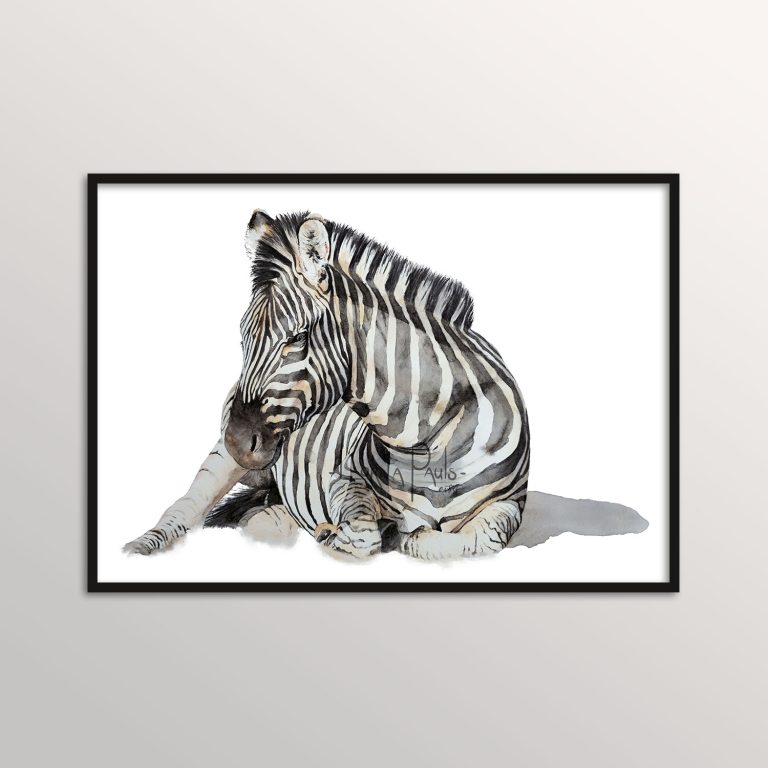watercolor zebra art print