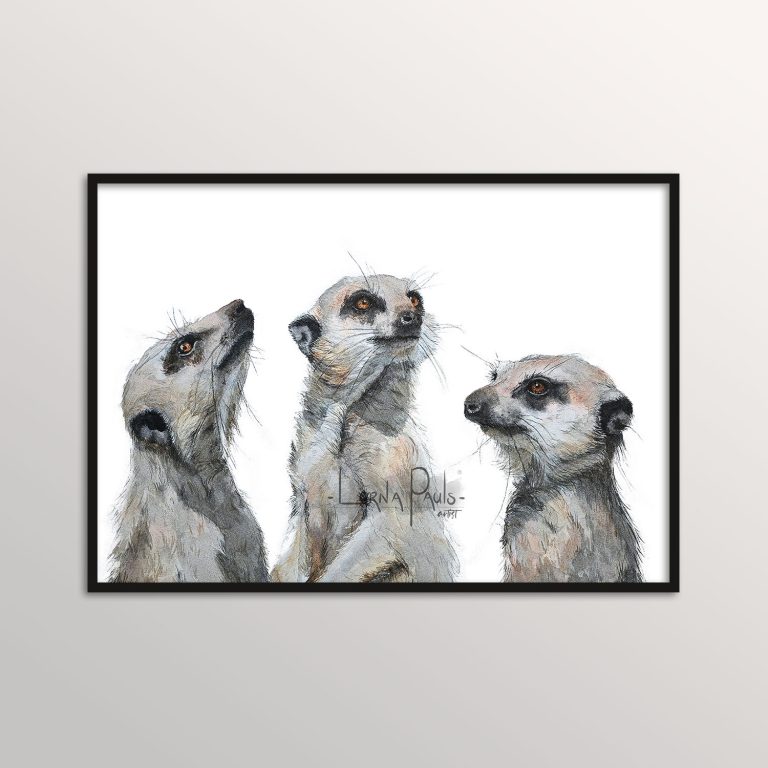 watercolor meerkat trio