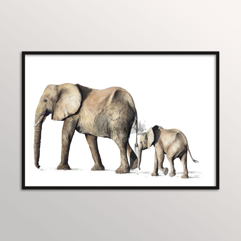 african elephant art prints