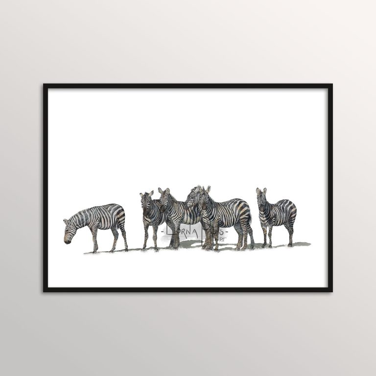 watercolor zebra painting