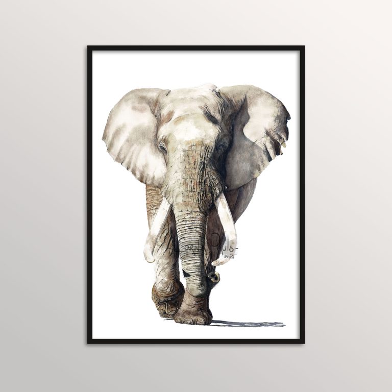 watercolor elephant art